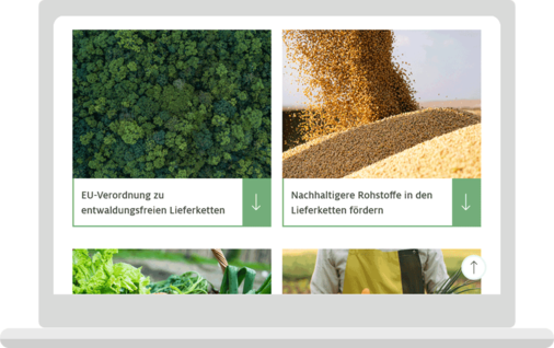 Laptop-Ansicht von aufklappbaren Themen-Teasern mit Fotos und verschiedenen Farben