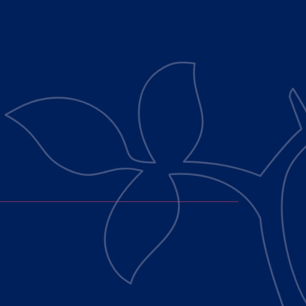 Kanzlei Baum & Partner